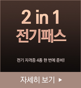 2 in 1 전기패스